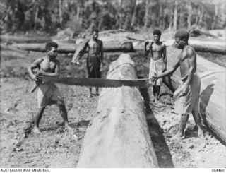 LAE, NEW GUINEA. 1944-12-21. NATIVES SAWING LOGS INTO APPROPRIATE LENGTHS BEFORE THEY ARE LOADED TO THE TRUCK FOR THE SAWMILL. THE NATIVES, SUPPLIED BY ANGAU, ARE WORKING AT UNTHANK MILL, OPERATED ..