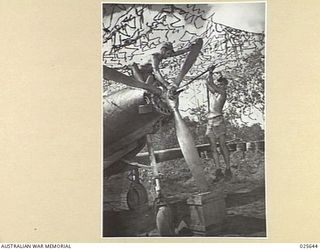 PORT MORESBY, PAPUA. 1942-07. TWO AMERICAN AIR MECHANICS WORKING ON THE PROPELLER OF A COBRA FIGHTER PLANE IN NEW GUINEA