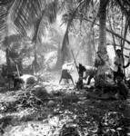 Co-operative sweet yam garden. Motu. (Men preparing mounds with iron hoes.)