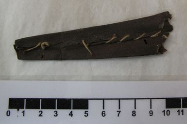 sheath