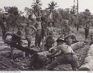 PORT MORESBY, NEW GUINEA. 1943-07-14. ENGINEERS OF THE 2/4TH AUSTRALIAN FIELD SQUADRON, ROYAL AUSTRALIAN ENGINEERS CUTTING PILES FROM THE SAGO SWAMPS TO BE USED IN THE PROJECT AT THE MOUTH OF THE ..