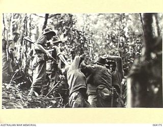 CANNING'S SADDLE, NEW GUINEA. 1944-01-21. STRETCHER BEARERS BRINGING WOUNDED OF THE 2/12TH INFANTRY BATTALION THROUGH THICK JUNGLE TO THE ADVANCED REGIMENTAL AID POST DURING THE ACTION ON MOUNT ..