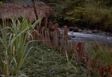 [People near a river in Mount Piora, Papua New Guinea]