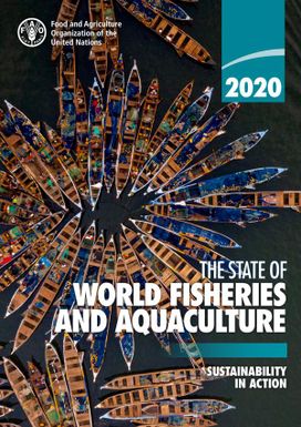 The state of world fisheries and aquaculture - sustainability action