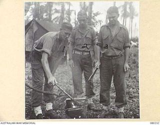 ALEXISHAFEN, NEW GUINEA. 1944-07. RATS REMOVED FROM CAMP TRAPS AT HEADQUARTERS 8TH INFANTRY BRIGADE, BEING INCINERATED TO PREVENT THE SPREAD OF TYPHUS FROM ADJOINING AREAS. IDENTIFIED PERSONNEL ..