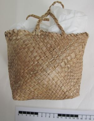 basket