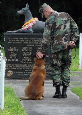 U.S. Navy PETTY Officer 2nd Class Blake Soller, a Military Working Dog (MWD) handler, pets the head of working dog Rico, at the War Dog Cemetery, on Oct. 27, 2006, located on Naval Base Guam. (U.S. Navy PHOTO by Mass Communication SPECIALIST 2nd Class John F. Looney) (Released)