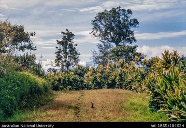 Okapa post - Okapa proper - 5 miles after Post - Awa country