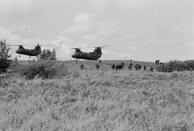 Members of Company E, Battalion Landing Team, 2nd Battalion, 3rd Marines, secure a landing zone for CH-46 Sea Knight helicopters from Marine Medium Helicopter Squadron 262 (HMM-262) during a combat readiness evaluation exercise