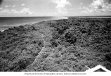 Abandoned road on Bikini Island, summer 1964