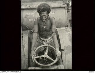 NEW GUINEA. 1943-12-22. NATIVE WORKER NAGOTA, AFTER A MONTH'S TRAINING, IS AN EXPERT WITH THE TRACTOR AND ROTARY HOE USED IN THE RAAF VEGETABLE GARDEN