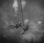 Divers Philip E. Jackson and Robert F. Dill follow a tow line at Alexa Bank, Samoa