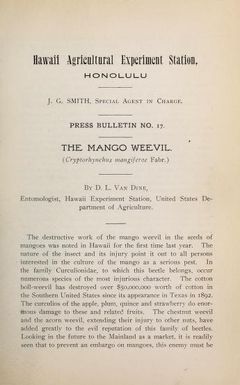 The mango weevil : (Cryptorhynchus magniferae Fabr.)