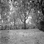 Procession walking through village