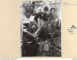 WEWAK AREA, NEW GUINEA, 1945-06-11. SGT F.J. WILLIAMS (1) AND SGT A. CLAYTON (2), 2/8 INFANTRY BATTALION, SET UP TELEPHONE COMMUNICATIONS BEFORE AN ATTACK