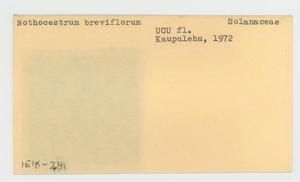 [Nothocestrum breviflorum in Hawaii, envelope IE18-241]