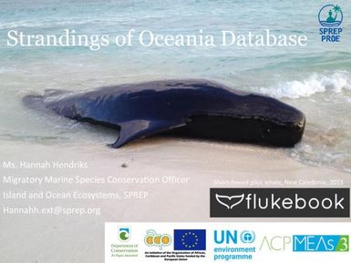 Strandings of Oceania database