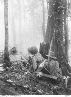 SALAMAUA AREA, NEW GUINEA. 1943-07-24. MEMBERS OF THE MACHINE GUN PLATOON, 2/5TH BATTALION WITH THEIR EXTRA YOKE RIFLE, IN ACTION IN THE MOUNT TAMBU AREA. NOTE: THIS RIFLE IS HEAVILY BOUND WITH ..