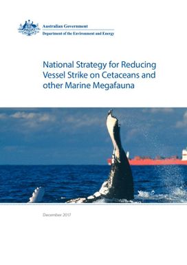 National strategy for reducing vessel strike on cetaceans and other Marine megafauna