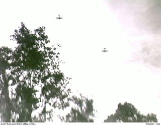 THE SOLOMON ISLANDS, 1945-04-24/27. TWO RNZAF CORSAIR AIRCRAFT FLY OVER THE JUNGLE ON BOUGAINVILLE ISLAND. (RNZAF OFFICIAL PHOTOGRAPH.)