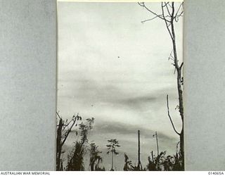 1943-01-12. PAPUA. BUNA. JAPANESE DIVE BOMBERS ATTACK ALLIED POSITIONS AT BUNA. WHILE THE DIVE BOMBERS WERE HURTLING DOWN 30 TO 40 PLANES WERE MILLING ROUND DOG-FIGHTING IN THE BACKGROUND. ..