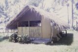 French Polynesia, thatched-roofed home on Tahiti Island