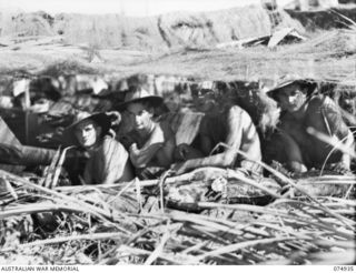 MILILAT, NEW GUINEA. 1944-07-27. THE CREW OF A 6 POUNDER TANK ATTACK GUN OF THE 22ND BATTERY, 106TH TANK ATTACK REGIMENT PEERING THROUGH THE OPENING OF THEIR CAMOUFLAGED GUN PIT. IDENTIFIED ..