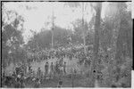 Pig festival, pig sacrifice, Kompiai: large crowd on dance ground