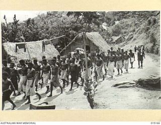 1943-06-29. NEW GUINEA. WAU-MUBO AREA. THIS TRACK IN THE WAU-MUBO AREA IS 500 FEET ABOVE SEA LEVEL. (NEGATIVE BY G. SHORT)