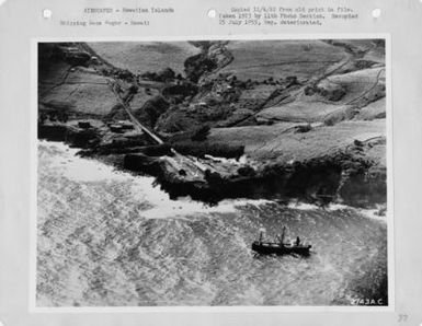 Hawaii - Miscellaneous