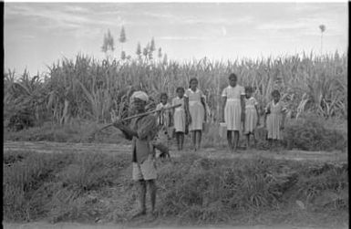 Fieldwork in Fiji