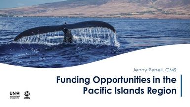 Funding opportunities in the Pacific Islands region