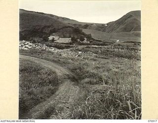 WAU - LAE ROAD, NEW GUINEA, 1944-02-26. A JEEP TRACK LEADING THROUGH MUMENG AND RE-APPEARING IN THE DISTANCE ON ITS WAY TO ZENAG. MAINTENANCE OF THE ROAD SURFACE AT THIS AREA IS BY THE 1ST ..