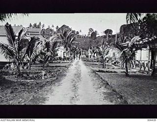 TULAGI, SOLOMON ISLANDS. 09-32. RESIDENCES IN A PALM LINED STREET IN CHINA TOWN. (NAVAL HISTORICAL COLLECTION)