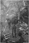 Pig festival, uprooting cordyline ritual, Tsembaga: man (center) has rubbed pandanus oil on his legs for strength