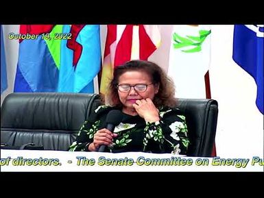 Senate Committee on EPUT Confirmation Hearing with Mr. Kyonori Tellames