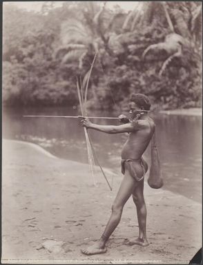 A young man shooting a bow and arrow, Malaita, Solomon Islands, 1906 / J.W. Beattie
