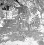 Food preparation, cooked pigs