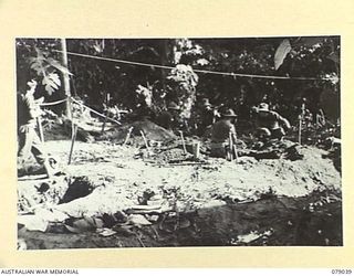 TSIMBA AREA, BOUGAINVILLE ISLAND. 1945-02-06. TROOPS OF C COMPANY, 31/51ST INFANTRY BATTALION DIGGING IN AT A FORWARD POSITION IN THE JUNGLE