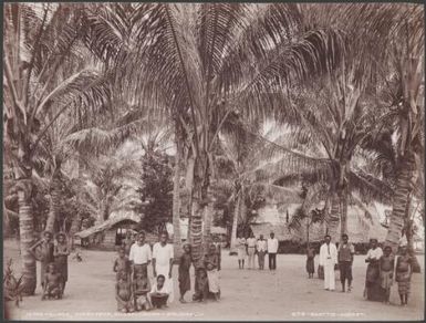 Local people standing amongst trees in the village of Maravovo, Guadalcanar, Solomon Islands, 1906 / J.W. Beattie