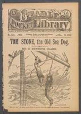 Tom Stone, the old sea dog, or, The young land lubber: a thrilling story of Prince Porter's first cruise