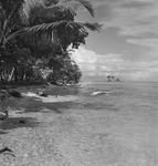 Beach scene at Tahiti