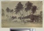 Mission buildings, boats, and coconut palms, Anatom, ca.1890