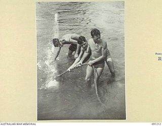 BOUGAINVILLE. 1945-04-23. SAPPERS OF 15 FIELD COMPANY, ROYAL AUSTRALIAN ENGINEERS, HAULING A LOG UPSTREAM IN READINESS FOR THE PILE DRIVER DURING THE CONSTRUCTION OF A NEW AUSTPANEL BRIDGE OVER THE ..