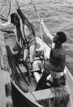 Divers prepare to launch a skiff, Falcon Island, Tonga