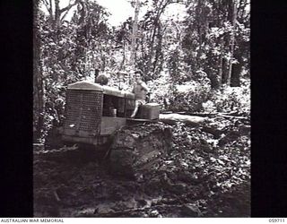 DONADABU, NEW GUINEA. 1943-11-09. TX6683 SAPPER A. H. HOLMES OF THE 9TH AUSTRALIAN WORKSHOPS AND PARKS COMPANY, ROYAL AUSTRALIAN ENGINEERS HAULING LOGS OUT OF THE JUNGLE WITH A CRAWLER TRACTOR