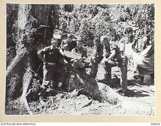 BUT, NEW GUINEA. 1945-04-10. B COMPANY, 2/8 INFANTRY BATTALION TROOPS READING A COPY OF "NEW GUINEA GOLD". IDENTIFIED PERSONNEL ARE:- LT E.C. BOLGER (1); LT A.G. HOLDEN (2); LT T.R. ERSKINE (3); ..