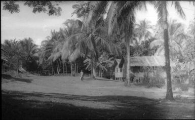 Village houses (1) : Nissan Island, Papua New Guinea, 1960 / Terence and Margaret Spencer