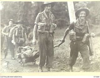 WEWAK AREA, NEW GUINEA. 1944-05-26. REGIMENTAL AID POST ORDERLIES USE A CART IMPROVISED WITH THE WHEELS OF A CHILD'S PRAM, TO CARRY EQUIPMENT DURING THE ADVANCE OF THE 35TH INFANTRY BATTALION UP ..