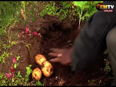 ORGANIC CERTIFICATION TRAINING